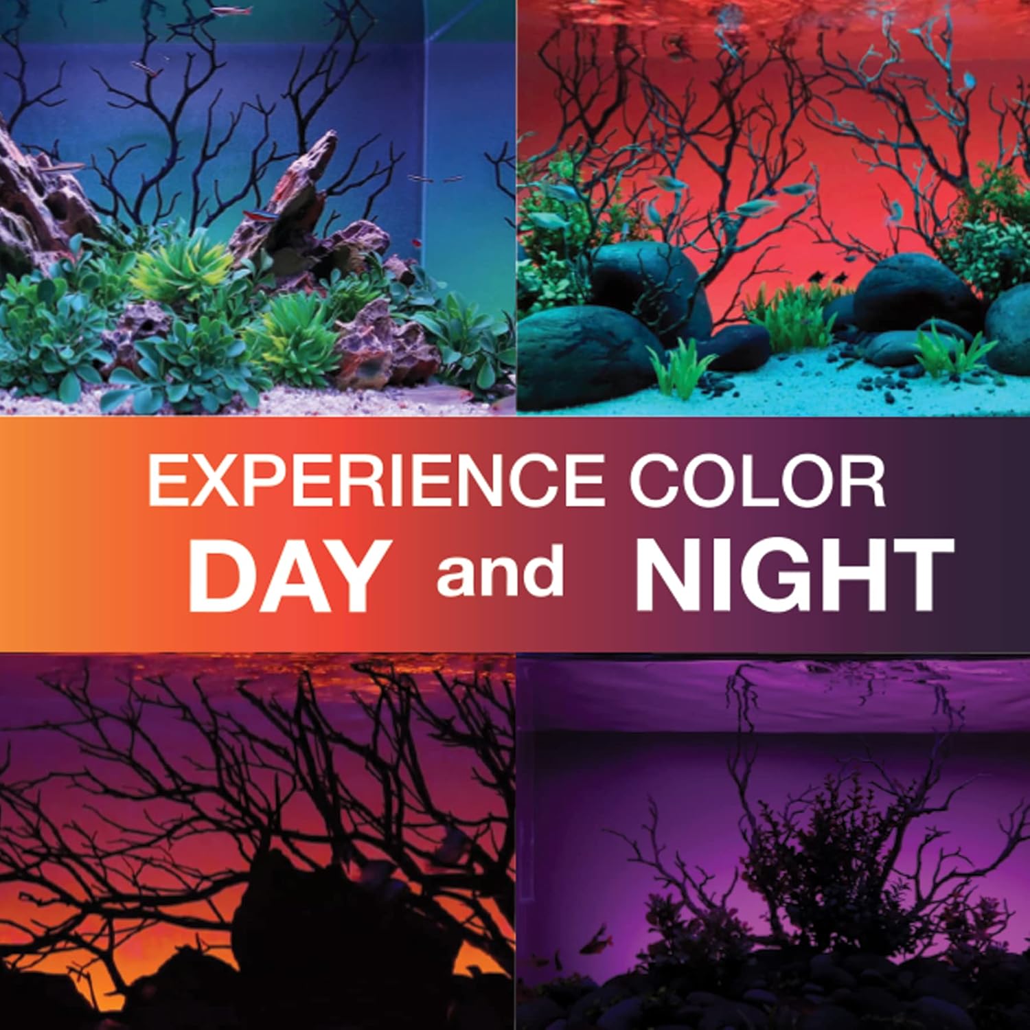 ColorCast Aquarium Background LED Light Kit with Frosted Background Film | Smartphone and Voice Control | 24/7 Timers | Alexa and Google Home | for Aquariums, Terrariums and Vivariums | 32"-48"