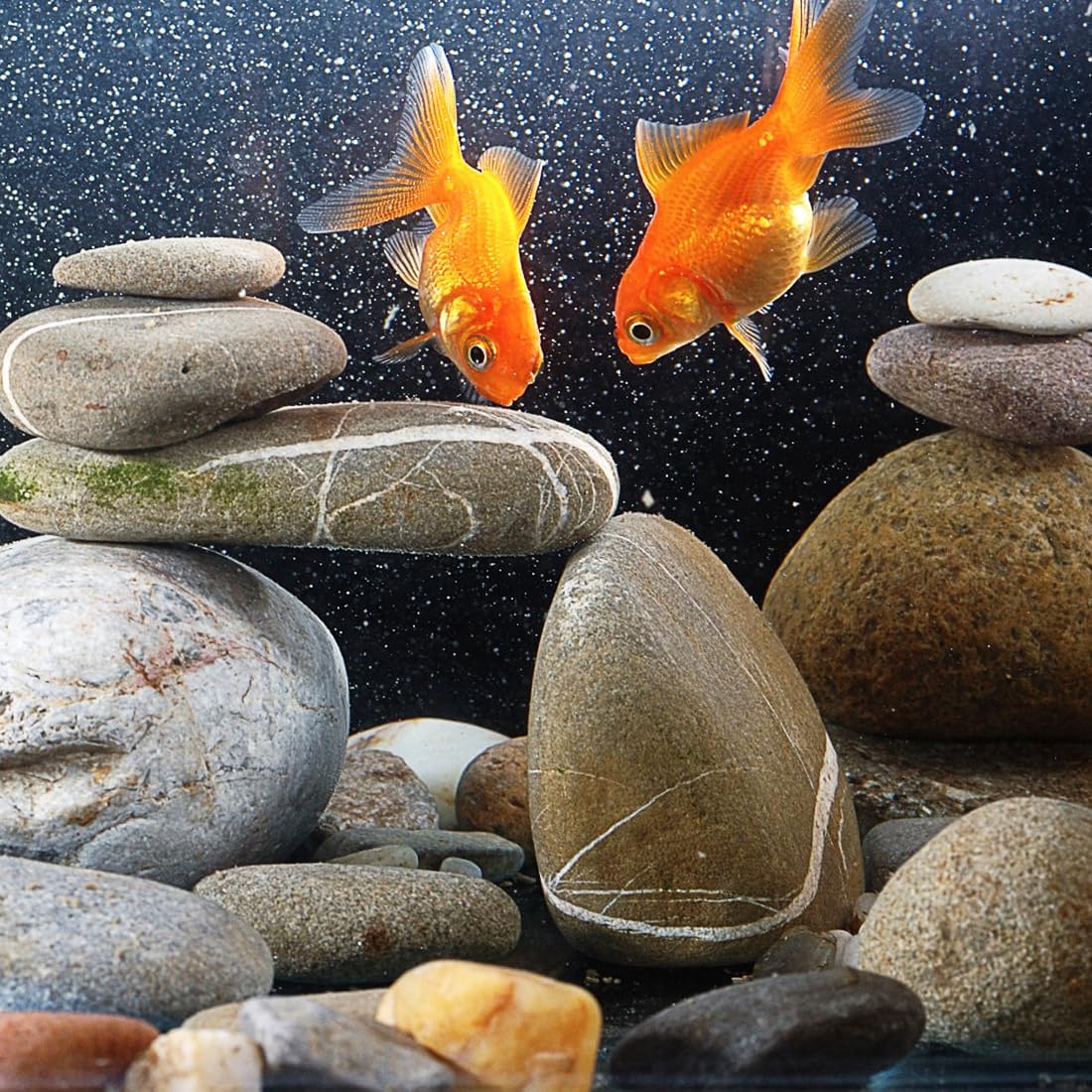 20lbs Natural River Rocks, 1"-2" Premium Pebbles for Garden and Landscape Design, Hand-Picked Smooth Stones for Fish Tank, Flower Pots, Indoor Water Fountains, Pathways, Backyard