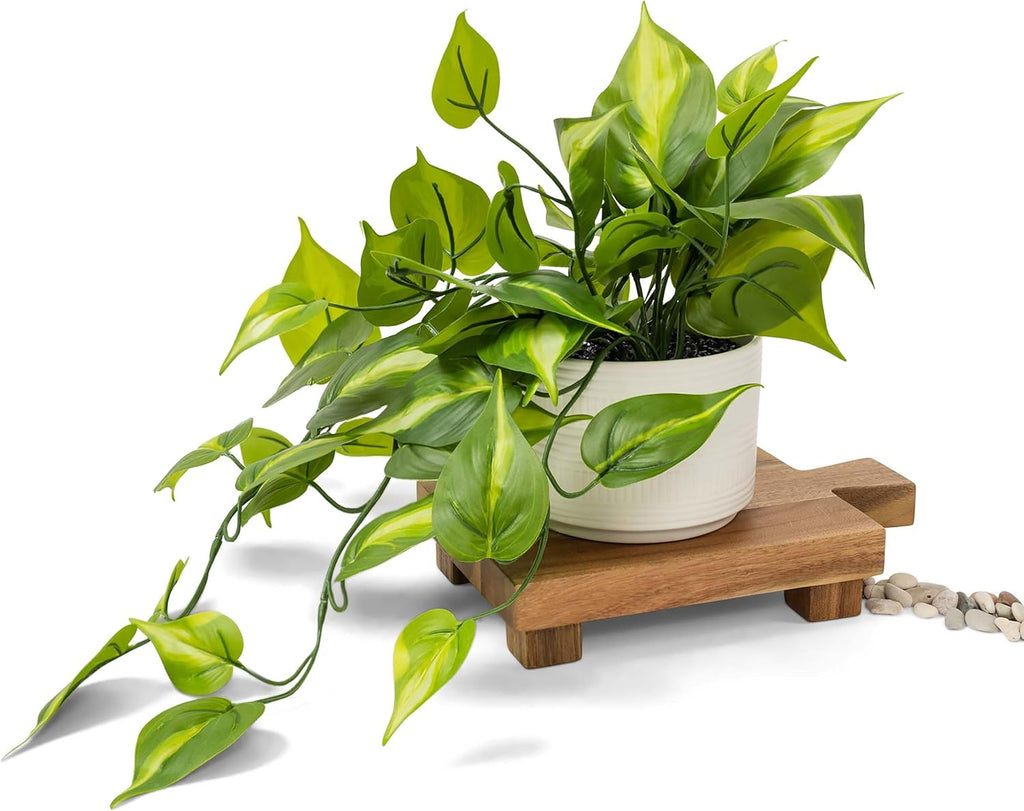 Kurrajong Farmhouse Dark Green Fake pothos | Fake Plant for Shelf Decor | Artificial Trailing Ivy Plant with 5" Wide x 3.5" high Ceramic Pot Faux pothos Plant for Floating Shelves