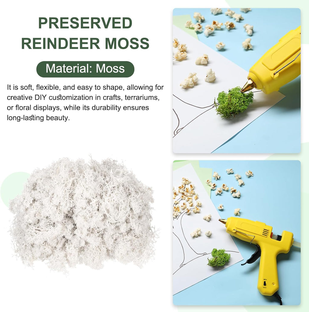 MECCANIXITY 3 oz Preserved Reindeer Moss, White Decorative Artificial Fake Moss for Potted Plants Indoor Crafts Lichen Centerpieces Decor