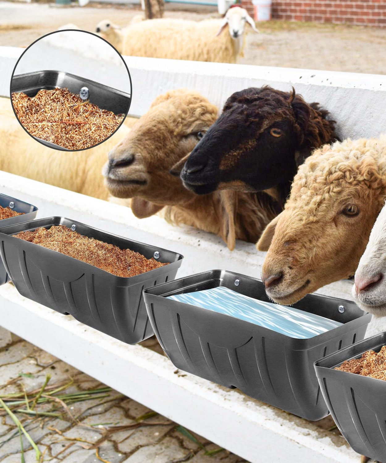 Chicken Feeder, 3 Pack, Poultry Feeders and Waterers, Hanging Goat Feeder, Livestock Fence Feeder, Feed Trough and Waterer Bucket with Clips, Black
