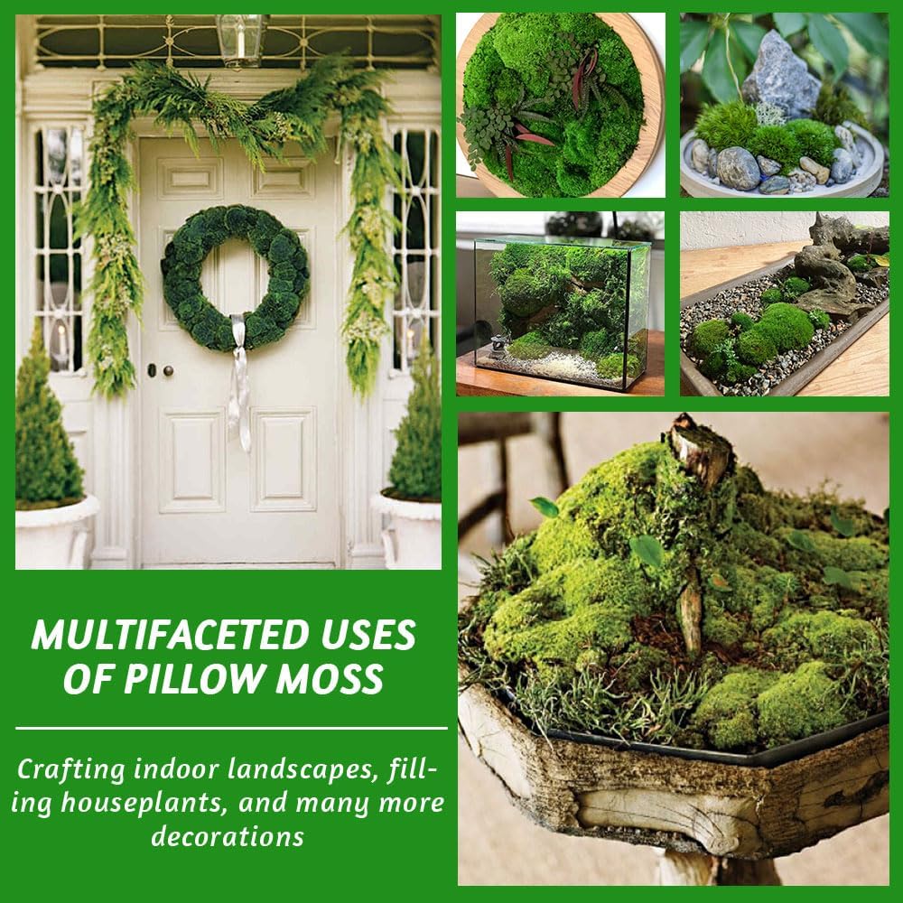 TCYPUHL Preserved Pillow Moss Bulk (1 Sq.Ft Dark Green) - Natural Cushion Moss for Wall Art, Home Decor - Christmas Crafts, Holiday Decorations and Gift Giving DIY Craft, Floral Arrangements