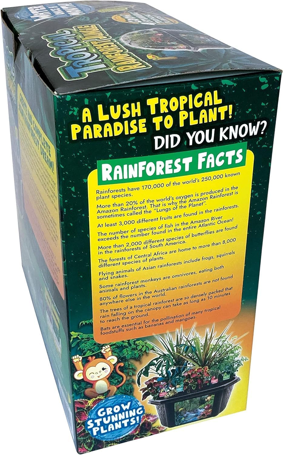 Toys by Biosphere Terrarium Starter Kit with Complete Supplies to Create Your Own Jungle! Indoor Plants for Home Displays and Gardens (Tropical Rainforest Jungle)