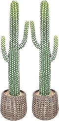 bellacat 32in UV Resistant Fake Cactus with Brown Decorative Pot, Realistic Faux Cactus Plants Indoor, Artificial Cacti for Table Living Room Office Porch Home & Outdoor Decor, 2 Pack