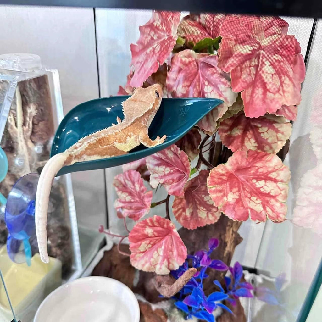 Crested Gecko Tank Accessories，3PCS,Reptile Branches，crestedgecko Hide，Gecko Wall Climbing Toy，Frog Habitat Platform，Tree Frog ，Reptile Leaf，Snake Accessories for Tank