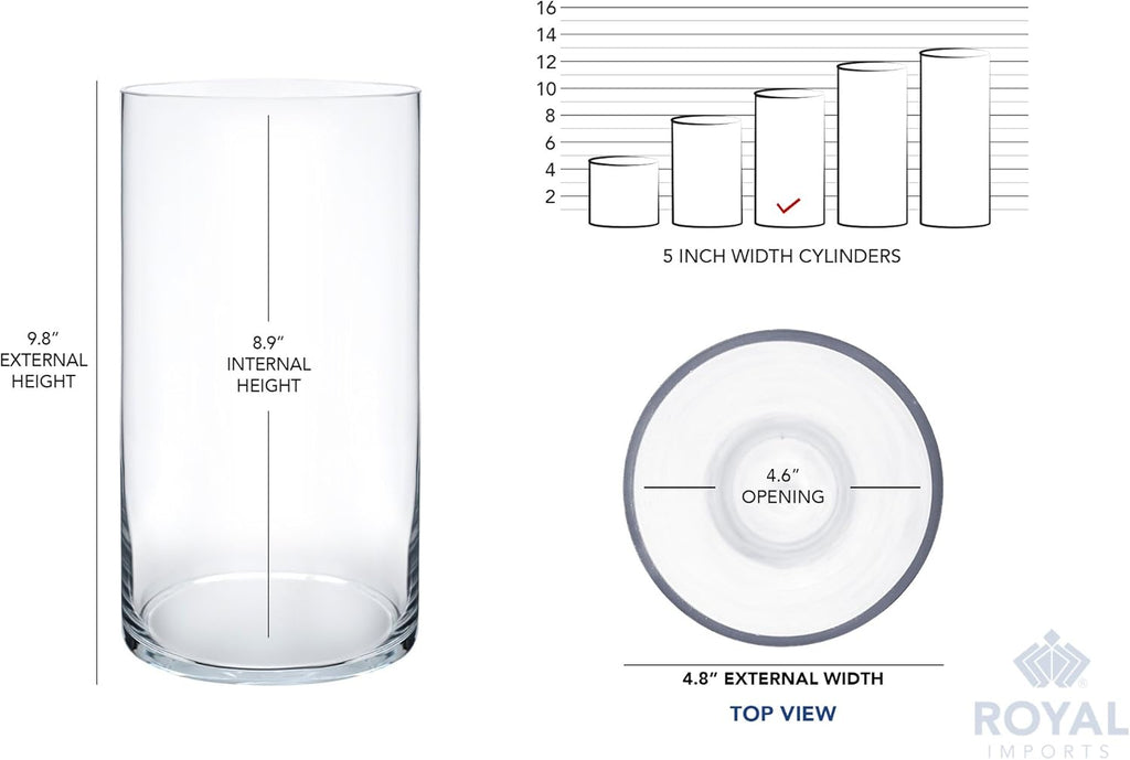 Royal Imports Flower Glass Vase Decorative Centerpiece for Home or Wedding - Cylinder Shape, 10" Tall, 5" Opening, Clear