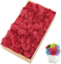 Preserved Reindeer Moss 7 OZ Red Natural for Crafts, DIY Gift Christmas Decor, Wall Art, Potted Plants, Floral Fake Moss for Easter Table Decor Wedding Decorative(7OZ, Red)