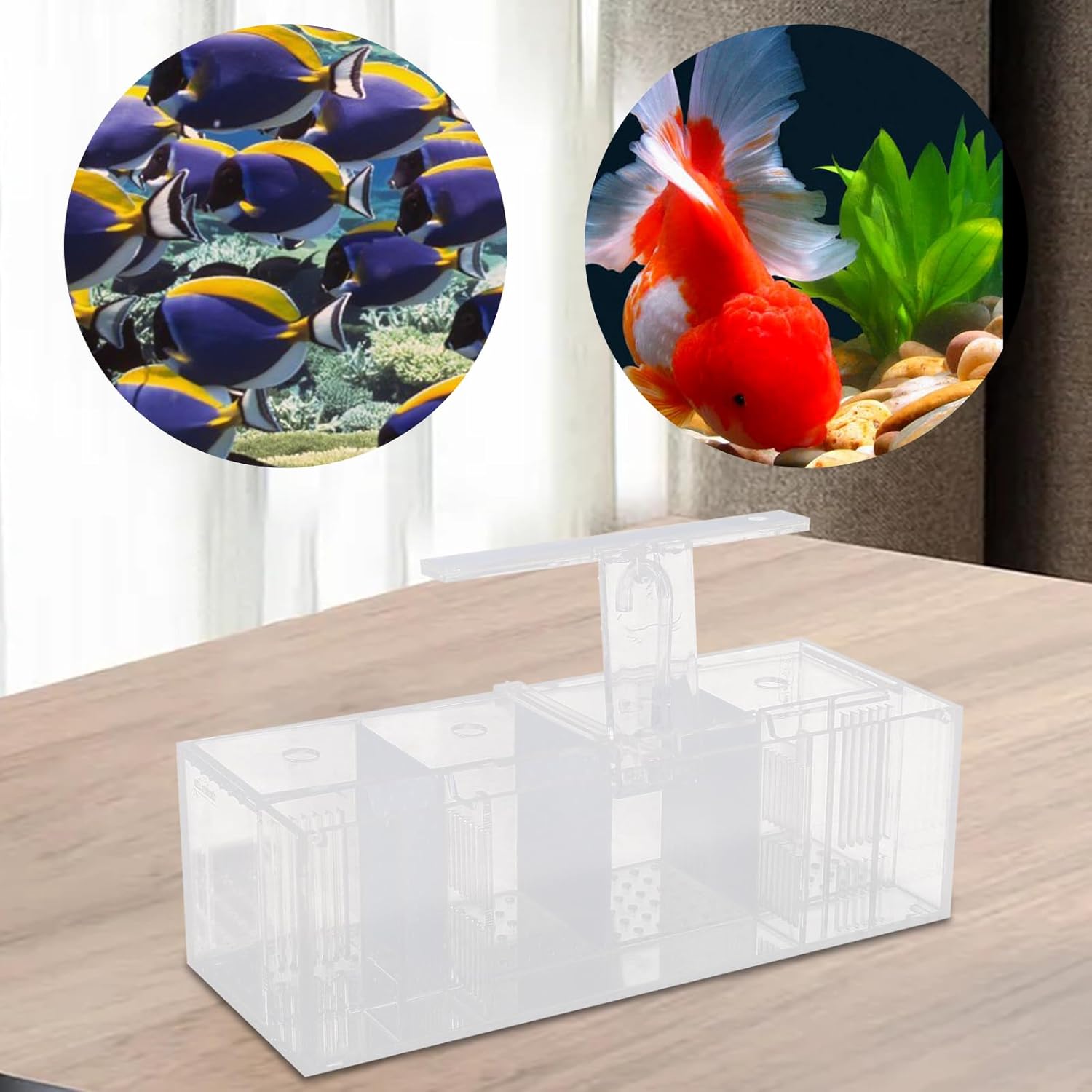 Acrylic Aquarium Transparent Fish Tank, Small Fish Tank with LED, Betta Fish Tank with 4 Grids, Dual Glass Desktop Mini DIY Aquarium, Multiple Betta Fish Tank for Table Furniture Decoration