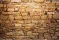 CSFOTO 8x6.5ft Western Wall Backdrop Ancient Jerusalem Buildings Photo Background Israel Background Jerusalem Wailing Wall Backdrop Church Event Decoration Props
