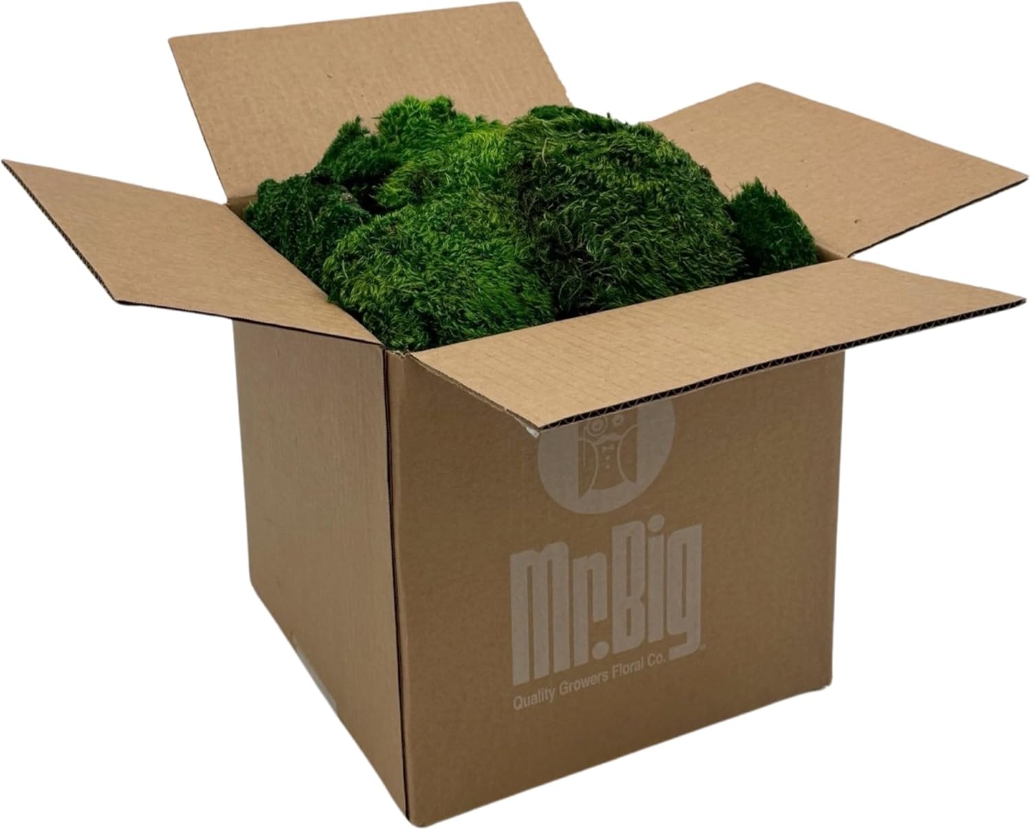 Preserved Mood Moss - Decorative Moss - Dried Moss for Crafts, Home Decor, Art, Design & DIY Projects - For Indoor Use - Natural Green - Standard Box - Covers 4-5 sq. ft.