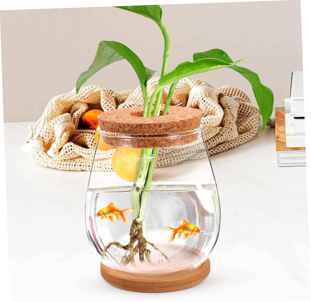 Milisten 1 Set Hydroponic Glass Vase DIY Cork Bottle Micro Landscape Bottle Coral Jar Aquarium Glass Terrarium Cork Planter Terrarium Dill