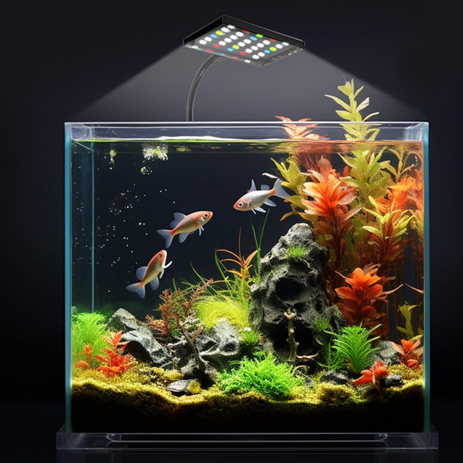 POCREATION On Aquarium Light, USB Powered LED Dimmable 10 Speed Brightness Timing Control Fish Clamp Light with Multiple Color Changes, for Home Indoor