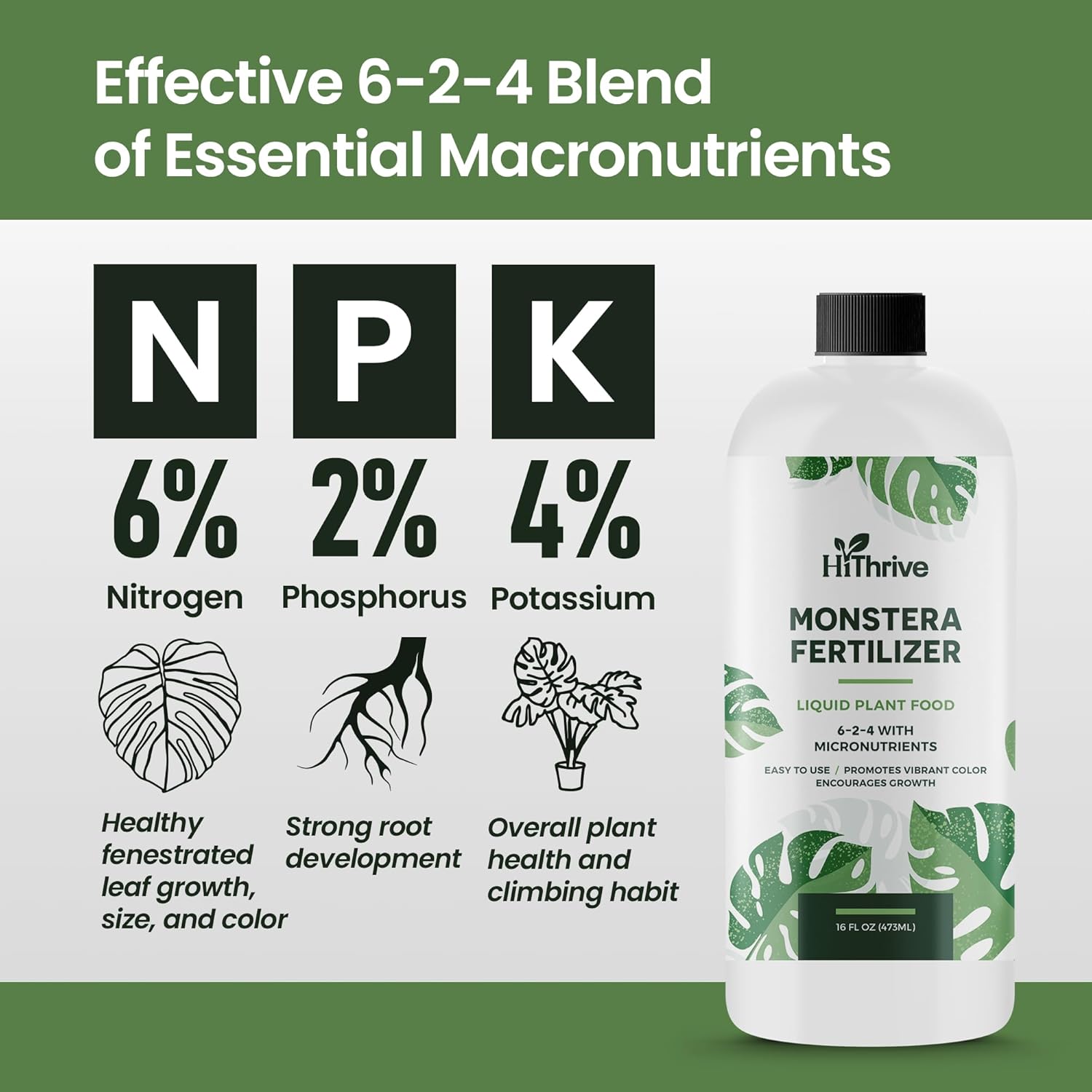 16oz Monstera Plant Food - Makes 96 Gallons of Monstera Fertilizer, Liquid Indoor Plant Fertilizer for Obliqua, Deliciosa and More, 6-2-4 NPK Ratio for Houseplants’ Healthy Growth & Glossy Leaves
