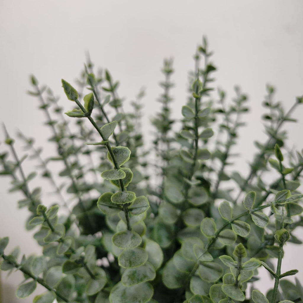50 Pcs Artificial Eucalyptus Stems Fake Eucalyptus Greenery Branches for Floral Arrangements, Wedding Centerpiece, Crafts