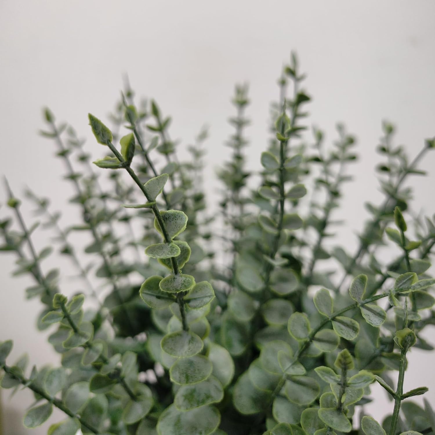 50 Pcs Artificial Eucalyptus Stems Fake Eucalyptus Greenery Branches for Floral Arrangements, Wedding Centerpiece, Crafts