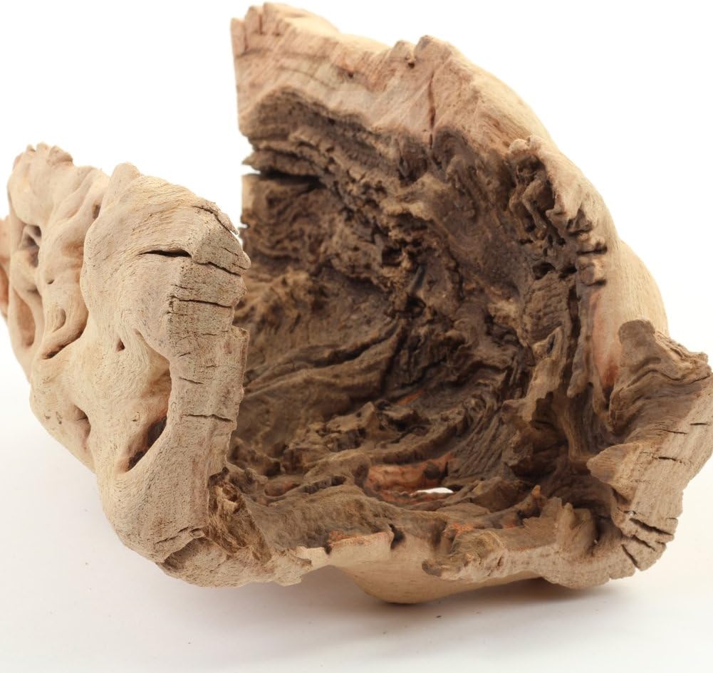 Koyal Wholesale 10" Hollow Grapewood Branch Decor 1Pcs Grapewood Centerpiece Vase Air Plants Sand Blasted Grapevine Wood Untreated Terrarium Wood Driftwood Decor