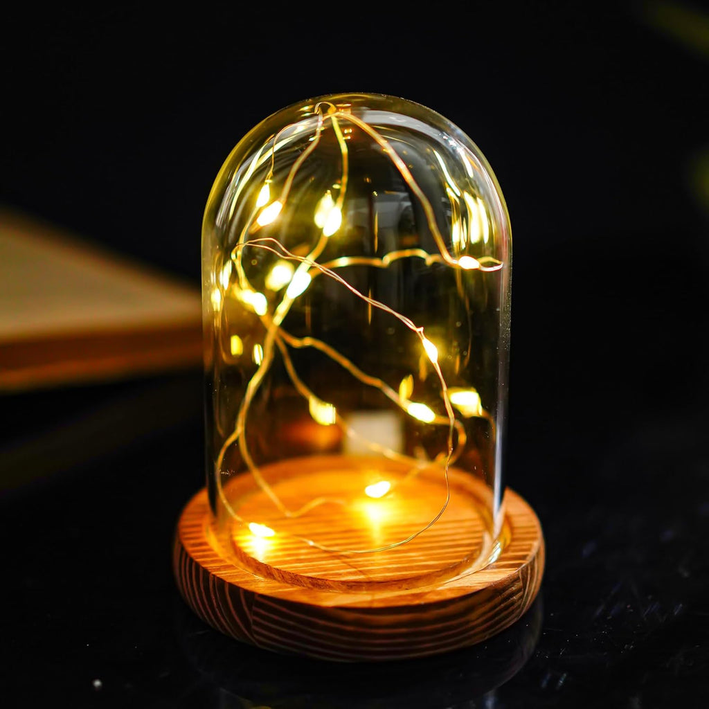 ZEERSHEE 4.1" x 3.2" Small Glass Display Cloche Dome with Solid Wood Base Empty for Plants Keepsakes Collectibles