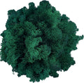 Moss Preserved Artificial Moss Natural Fresh Green Moss for Craft Arts Floral Project Wall Decor Table Decor Wedding Centerpieces Garden Terrariums Decoration -Dark Green 3.5OZ