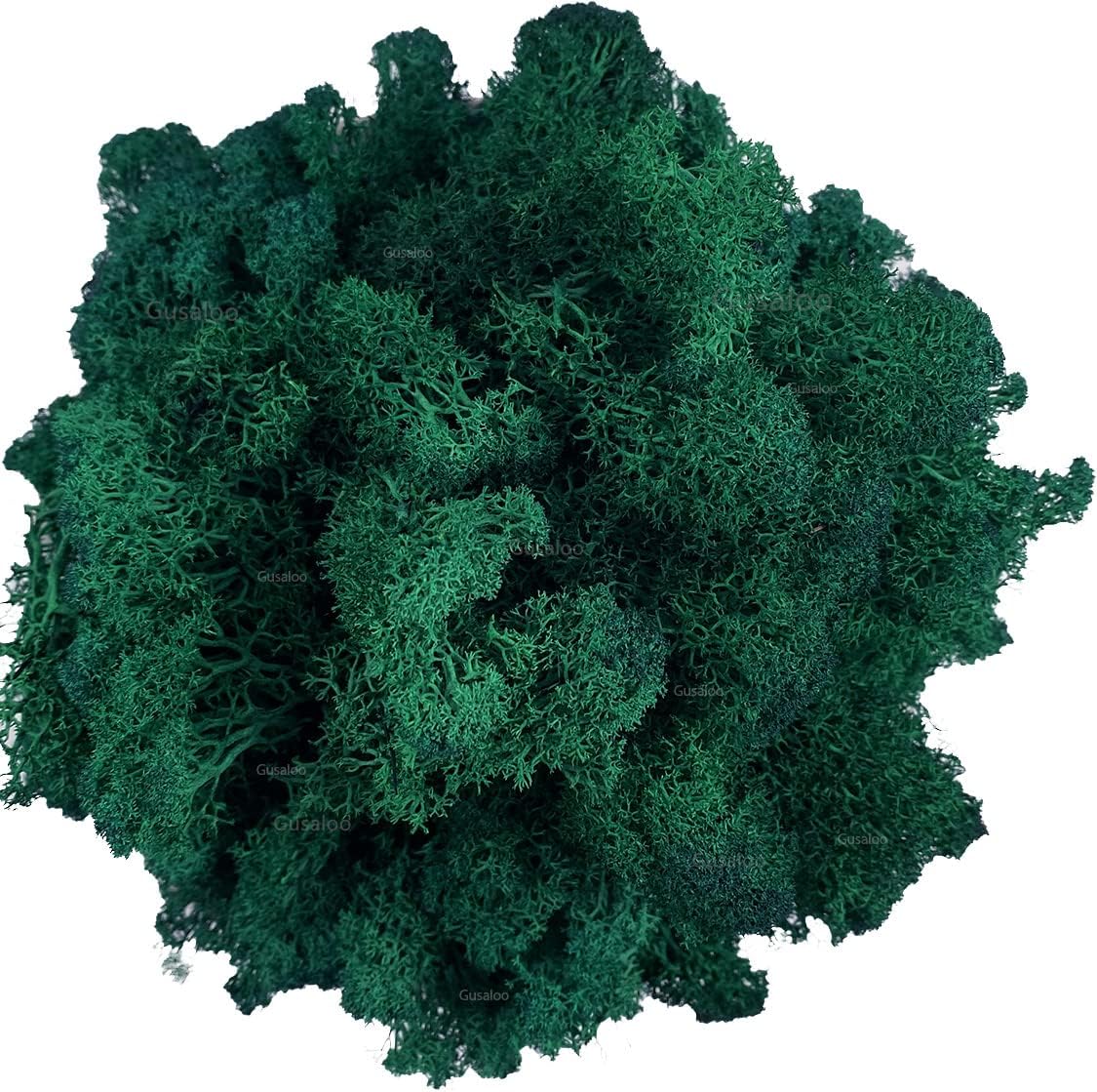Moss Preserved Artificial Moss Natural Fresh Green Moss for Craft Arts Floral Project Wall Decor Table Decor Wedding Centerpieces Garden Terrariums Decoration -Dark Green 3.5OZ