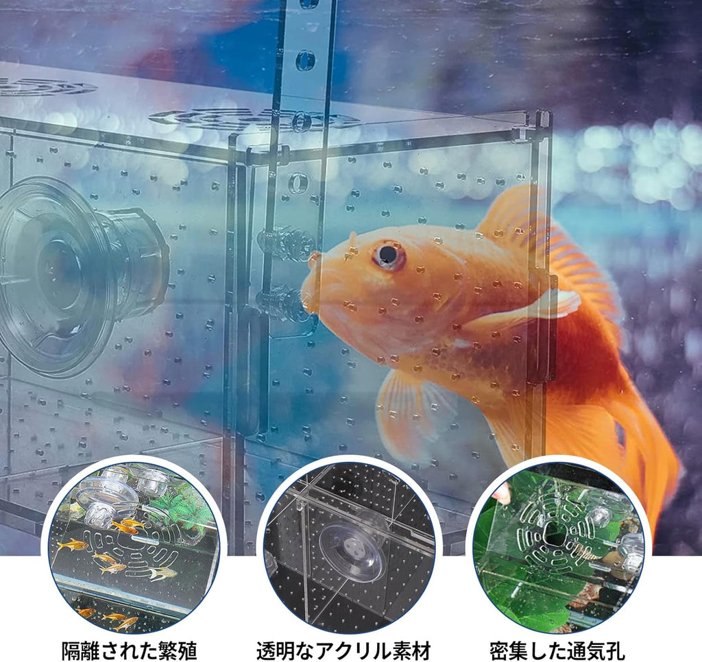 Fish Breeding Box, Acrylic Isolation Box Aquarium Hatchery Incubator with Suction Cups for Newborn Fry, Shrimp, Guppy, Clownfish, Aggressive Fish, 11.5" x 6" x 6"
