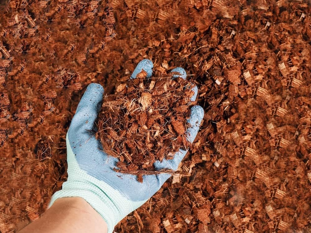 Coco Coir Husk Chips 1-Pack – 2.4 Cu. Ft. Compressed Coconut Coir Bricks, 10 lb. Natural Substrate for Indoor & Outdoor Use, Orchid Bark Alternative, Orchid Potting Mix, Indoor Plant Soil