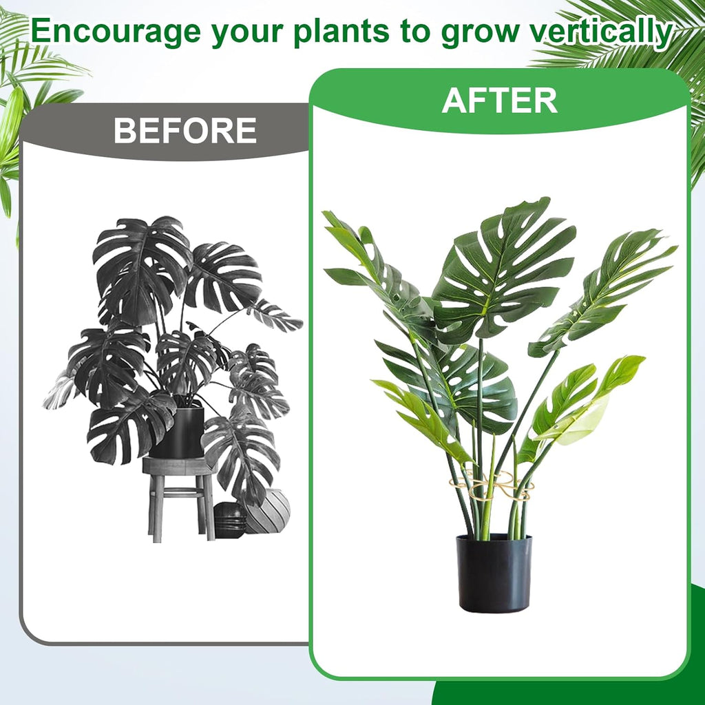 6pcs Plant Stem Support, Iron Monstera Plants Support, Plant Stem Holder Support Unique Design Bamboo Clamp Set for Outdoor & Indoor Growing Climbing Plants Stabilization and Supports