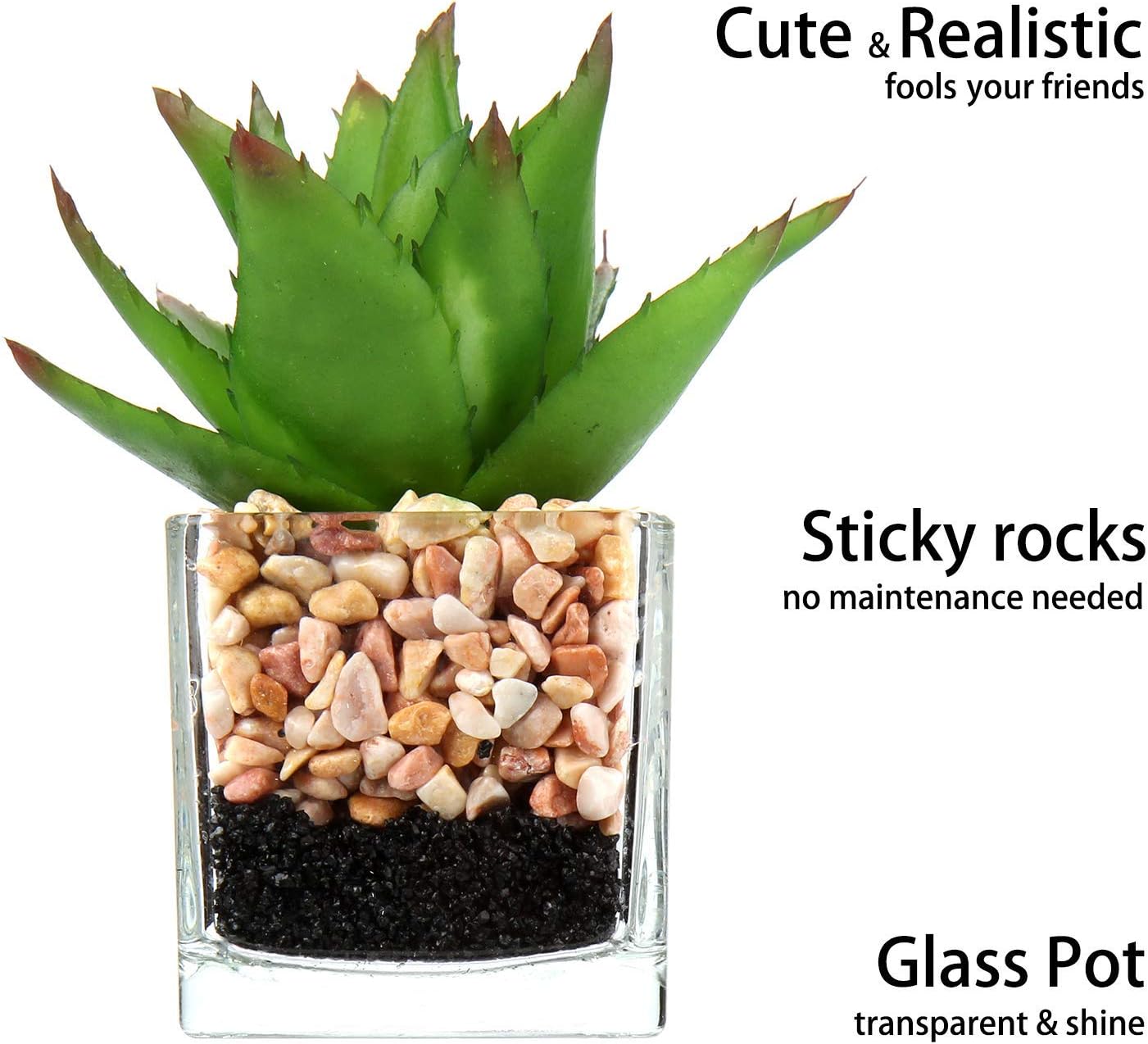Briful Mini Fake Plants 3 Packs Cute Succulents Artificial Plants in Square Glass Vase Pot Potted Faux Succuletns for Living Room Dining Room Bathroom Kitchen Windowsill Table Decor