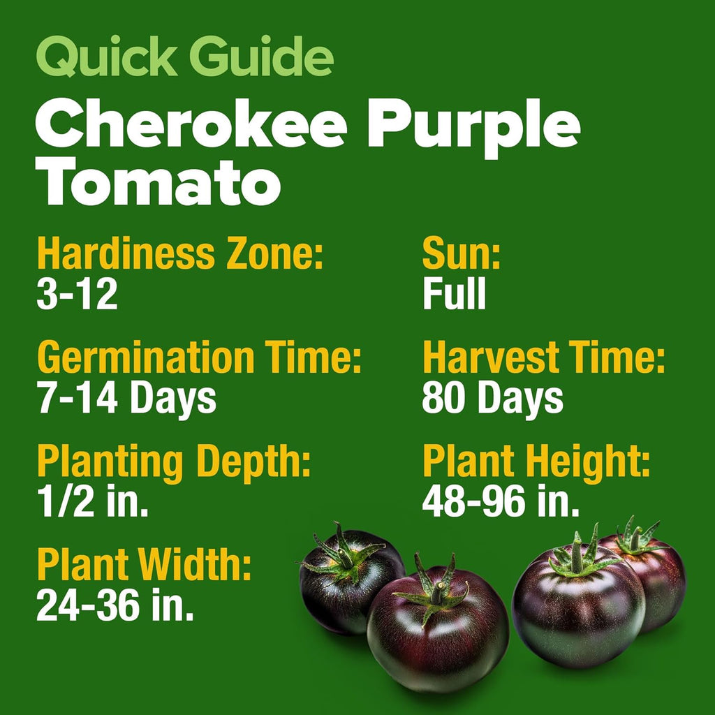 HOME GROWN Cherokee Purple Tomato Seeds 2 Pack (Solanum lycopersicum) - 212 Seeds, Tomato for Planting - Heirloom Vegetable Seeds with High Germination Rate