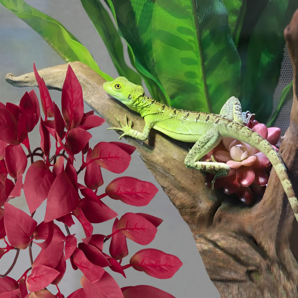 Dsoar Aquarium Artificial Plant Reptiles Plants with Suction Cup for Terrarium Fish Tank Landscape Decoration Hanging Silk Red Leaves Plants