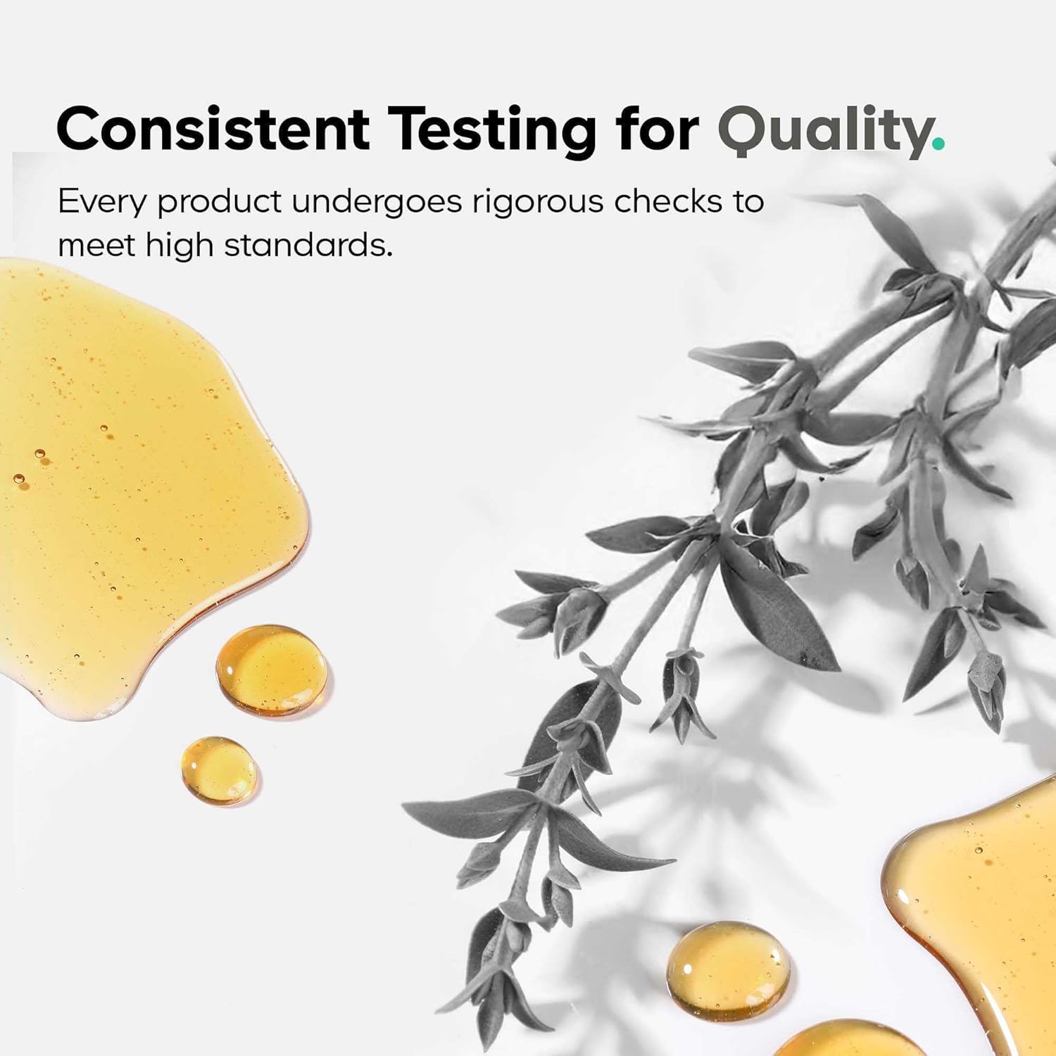 Amen Spermidine Supplement - Spermidine Trihydrochloride Pills with Vitamin C Ascorbic Acid - Only 1 Capsule Per Serving - Vegan, Non-GMO, Gluten-Free - 30 Capsules