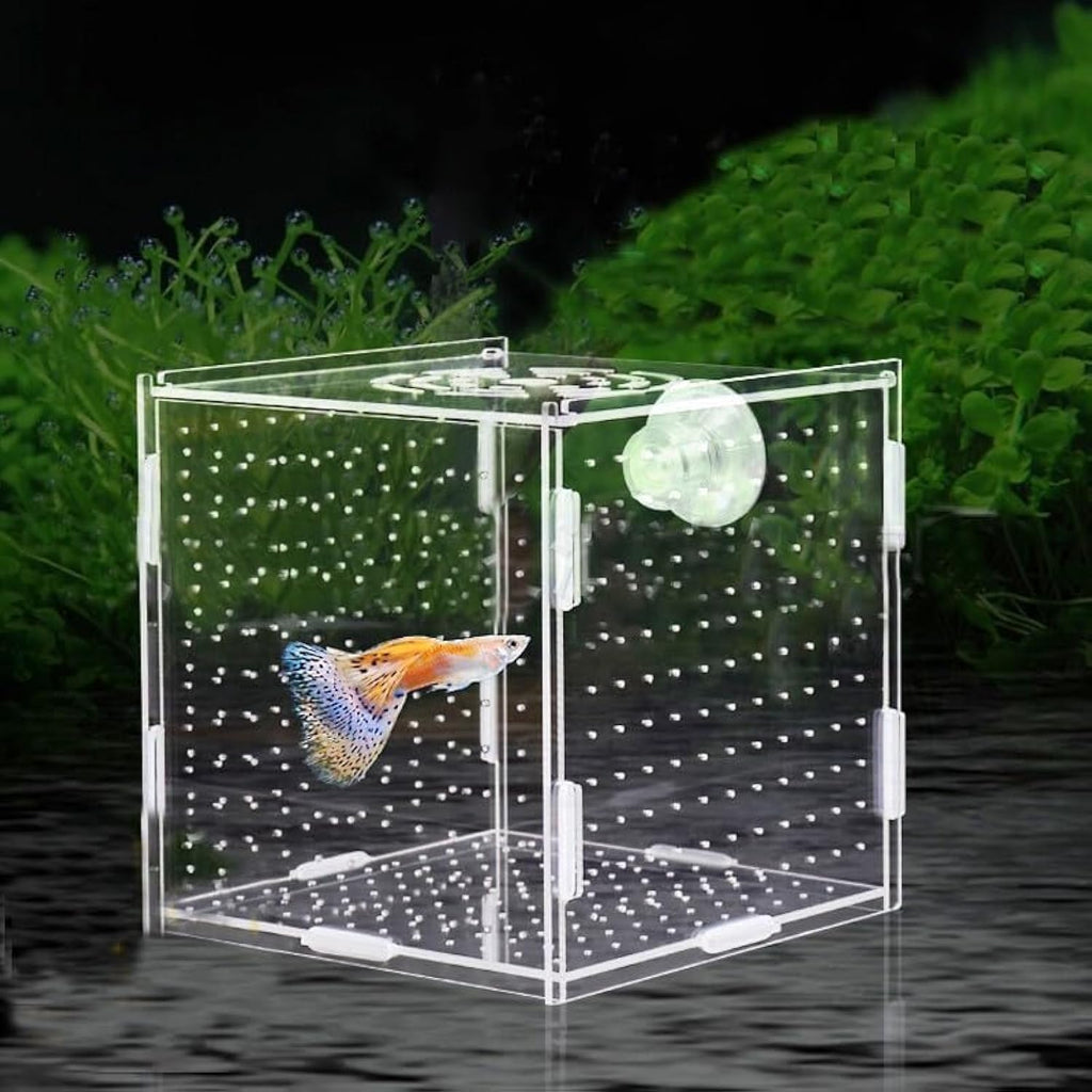 PINVNBY Acrylic Fish Breeding Box，Guppy breeding Box Acrylic Fish Isolation Box Aquarium Incubator with Suction Cups for Guppy Shrimp Small Baby Fishes（3.9 x 3.9 x 3.9 inches）