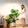 Full Spectrum Grow Light with Stand for Indoor Plants, Floor Plant Light, 6/12/18H Timer, 3 Color Modes, Adjustable Height 16.5–68in, for Large Plants & Home Décor(2 Heads,Faux Wood Grain)