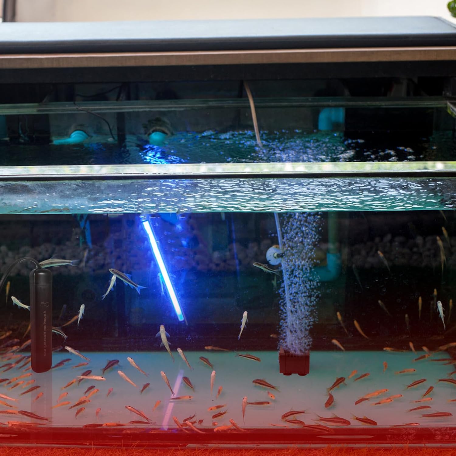 DOITOOL Quartz Glass Aquarium Heating Rod with Thermostat Fast Heating Fish Tank Heater for Tropical and Betta Fish US Plug Safe Automatic Shutoff Easy Installation