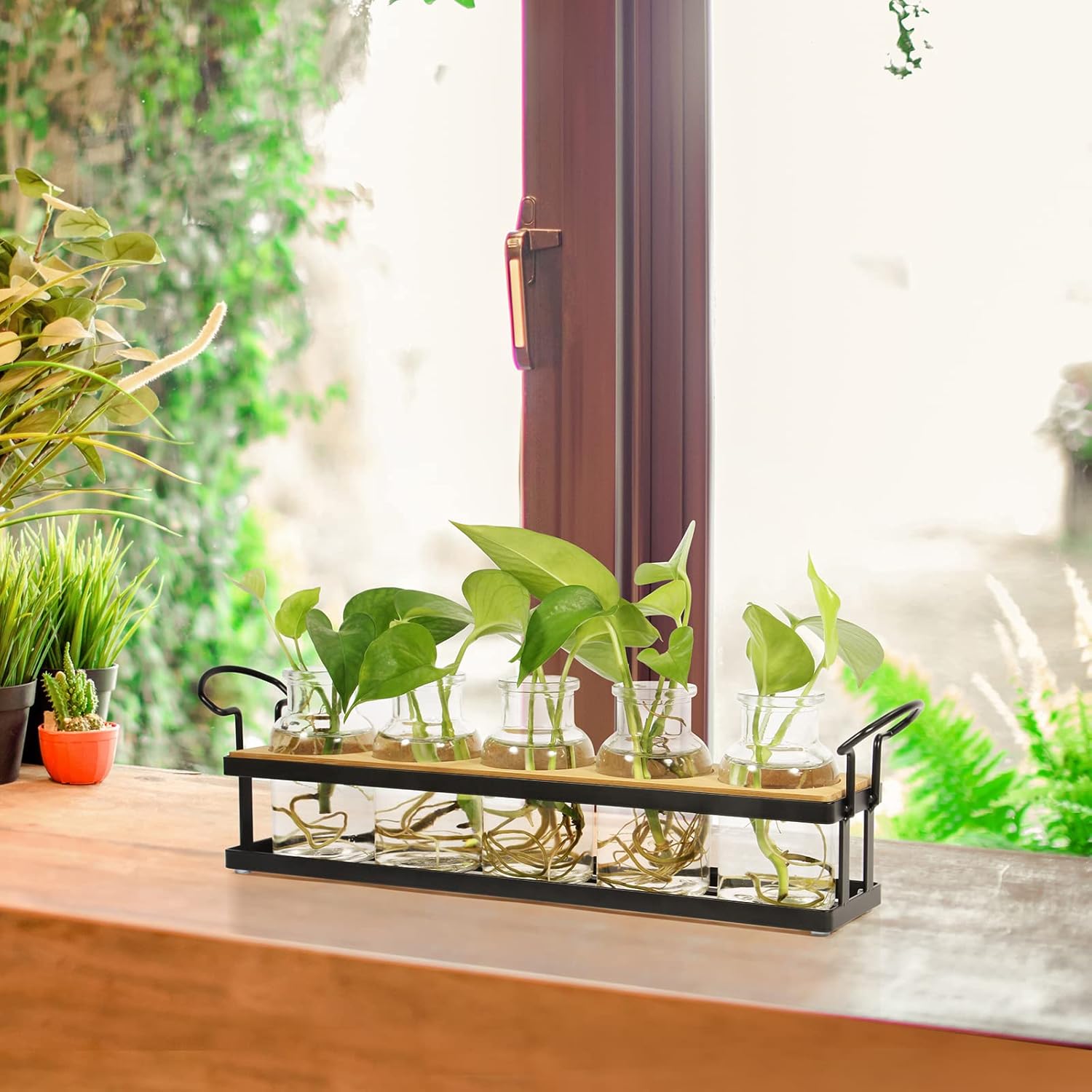 THYGIFTREE Plant Propagation Stations with Metal Stand, Tabletop Plant Terrarium for Propagating Hydroponic, Retro Glass Planter Flower Vase Home Kitchen Office Decor Gifts, 5 Jars