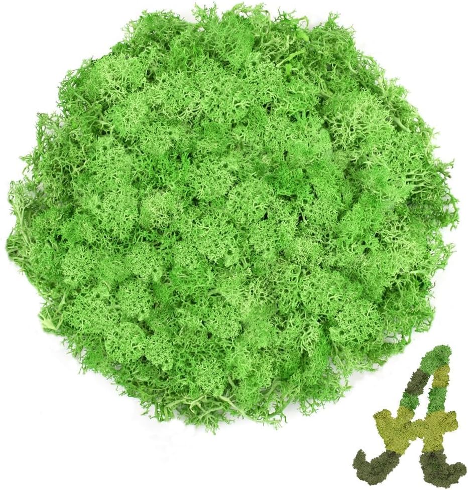 Preserved Reindeer Moss 3.5 OZ Green Natural for Crafts, DIY Gift Christmas Decor, Wall Art, Potted Plants, Floral Fake Moss for Easter Table Decor Wedding Decorative(3.5 OZ, Green)