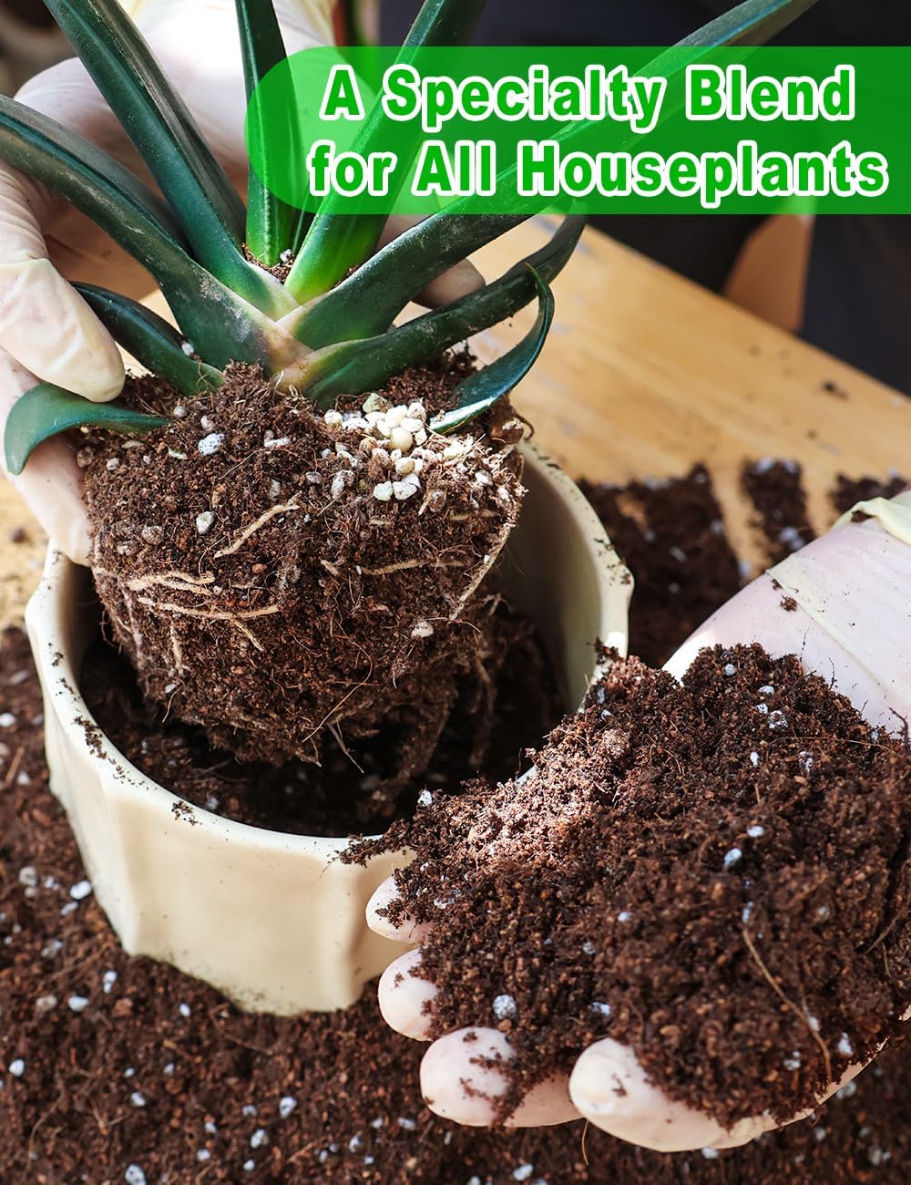 TOYPOPOR Potting Soil for All Indoor Houseplants, (6qt) Contains Perlite, Peat Moss, Coco Coir, Rice Charcoal, Well Draining Potting Mix Light, Aerated Texture for Healthy Plant Roots, Fast Growth