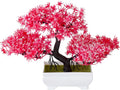 Mini Artificial Bonsai Tree Plants with Plastic Cement Pots for Home Office Décor(Red)