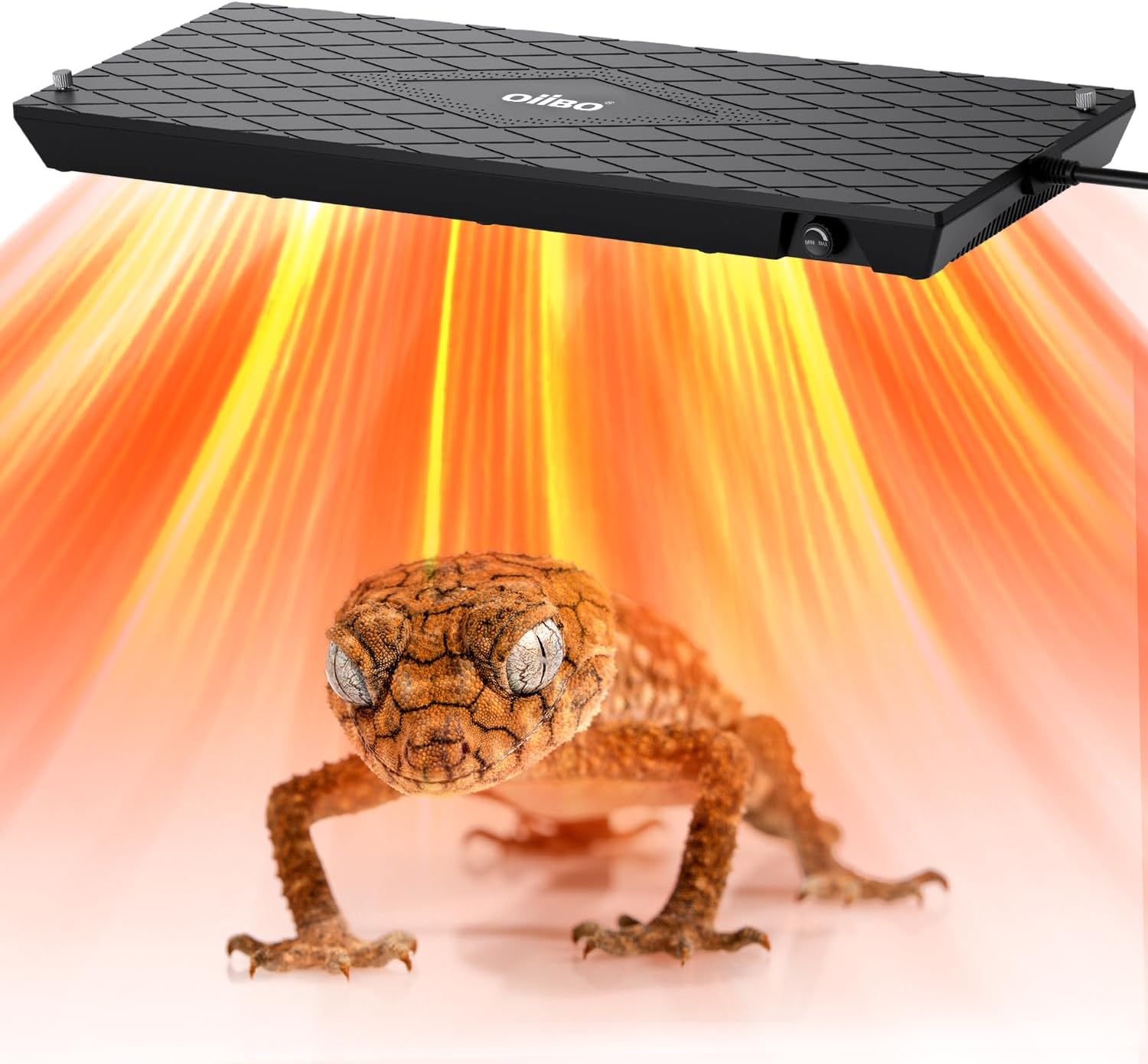 Oiibo Reptile Heat Panel Adjustable Temperature Reptiles Heating Panel Fan for Terrariums, Energy Efficient & Non-Light Reptile Heating Plate for Snakes, Crested Gecko, Leopard and Amphibians