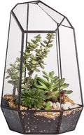 NCYP Geometric Glass Terrarium Planter for Succulent, Small Cacti, Black Irregular Opened Container Pot, Indoor Home Garden Office Tabletop Decor, 6.5" x 5.7" x 9.8" (No Plants, No Door)