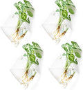 Kingbuy 4 Pack Diamond Shape Hanging Glass Planters for Succulents & Air Plants Holder Wall-Mounted Terrarium Vases with Propagation Station Hydroponic Wall Decor for Indoor Home