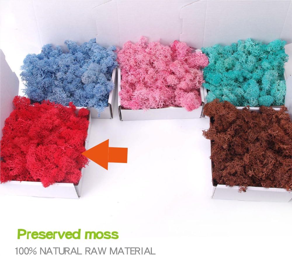 Preserved Moss - 3.5 OZ for Crafts, Art, Wall & Florist Decor (Natural Green)