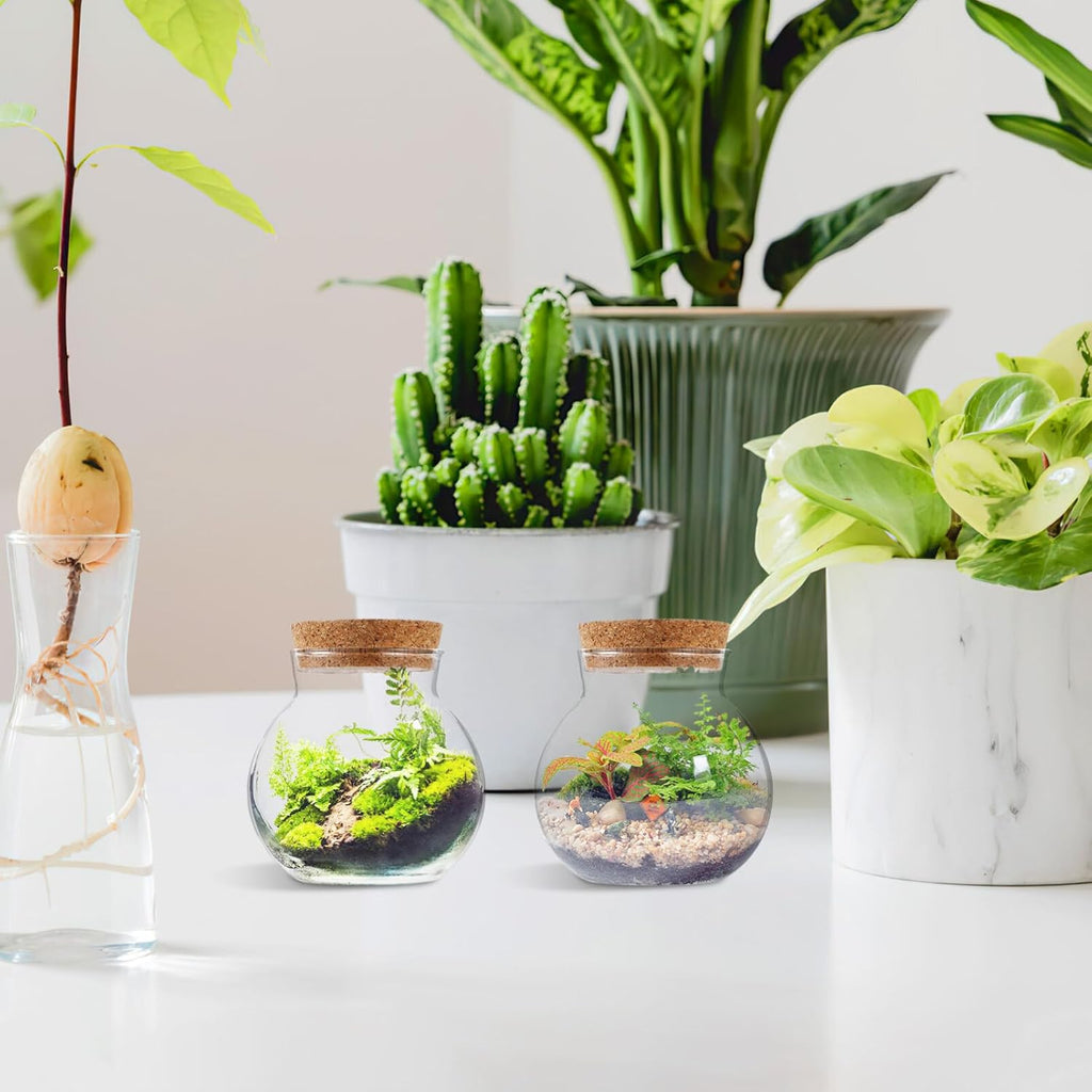 2pcs Round Glass Jar Terrarium Container Ball Succulent Plant Terrarium Buds Vases Easter Candy Jar Message Wishes Bottle with Cork Lid for Plant 10x11cm