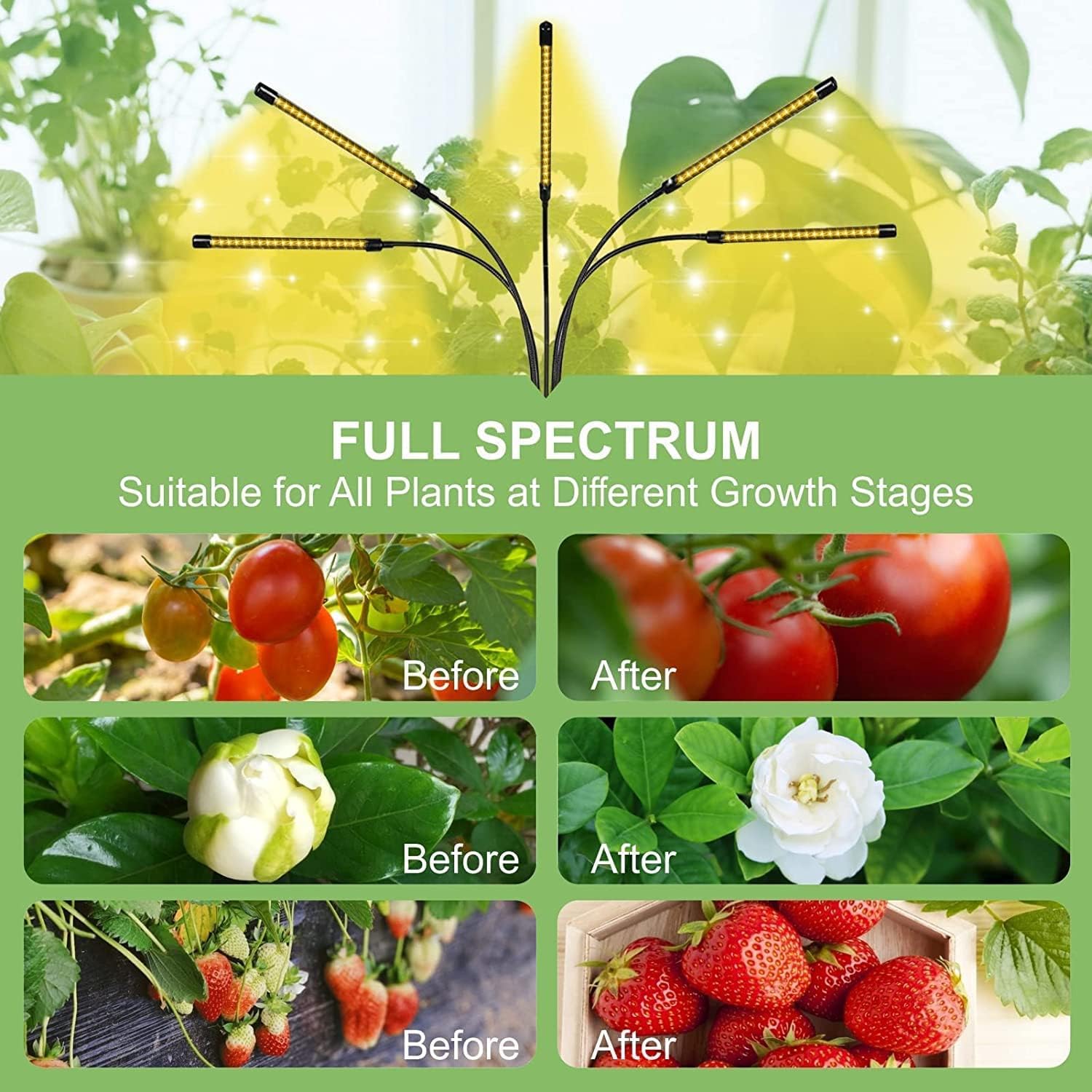5-Head Adjustable LED Lights, Full Spectrum Grow Lamp with Timer, Warm White Light for Indoor Plants