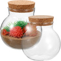 2pcs Round Glass Jar Terrarium Container Ball Succulent Plant Terrarium Buds Vases Easter Candy Jar Message Wishes Bottle with Cork Lid for Plant 10x11cm