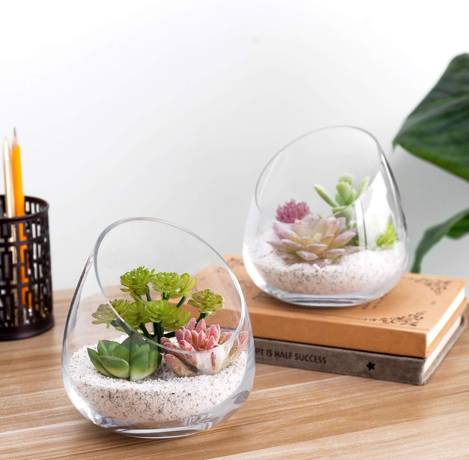 MyGift 5 Inch Premium Clear Glass Air Plant Terrarium, Mini Candy Bowl Jar, Tealight Candle Holder, Succulent Cactus Plant Vase, Set of 2