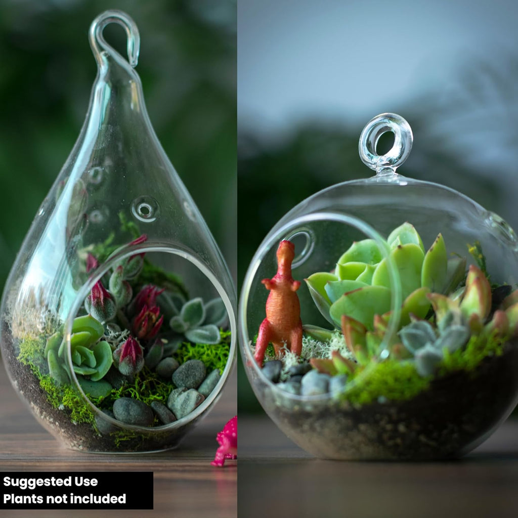 Cute Farms Terrarium Starter Kit with Glass | Moss, Vermiculite, Soil, Plant Food, Finishing Tool, Miniature Dinosaurs, Build and Care Guide
