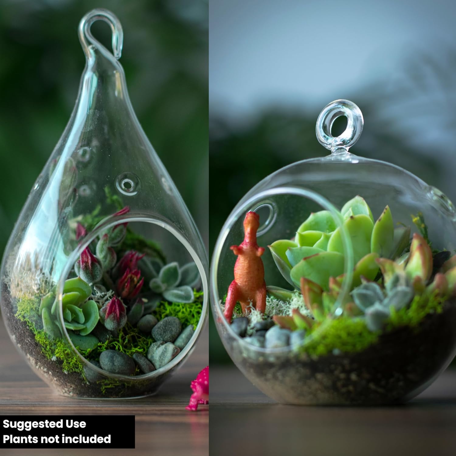 Cute Farms Terrarium Starter Kit with Glass | Moss, Vermiculite, Soil, Plant Food, Finishing Tool, Miniature Dinosaurs, Build and Care Guide