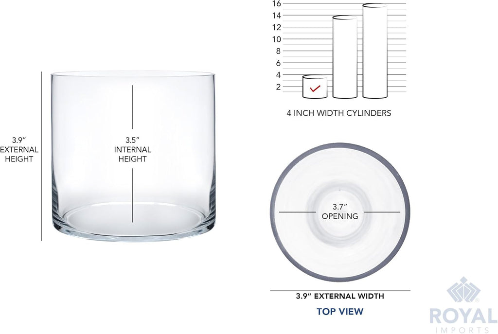Royal Imports Flower Glass Vase Decorative Centerpiece for Home or Wedding - Cylinder Shape (4" Wide x 4" Tall, Clear)
