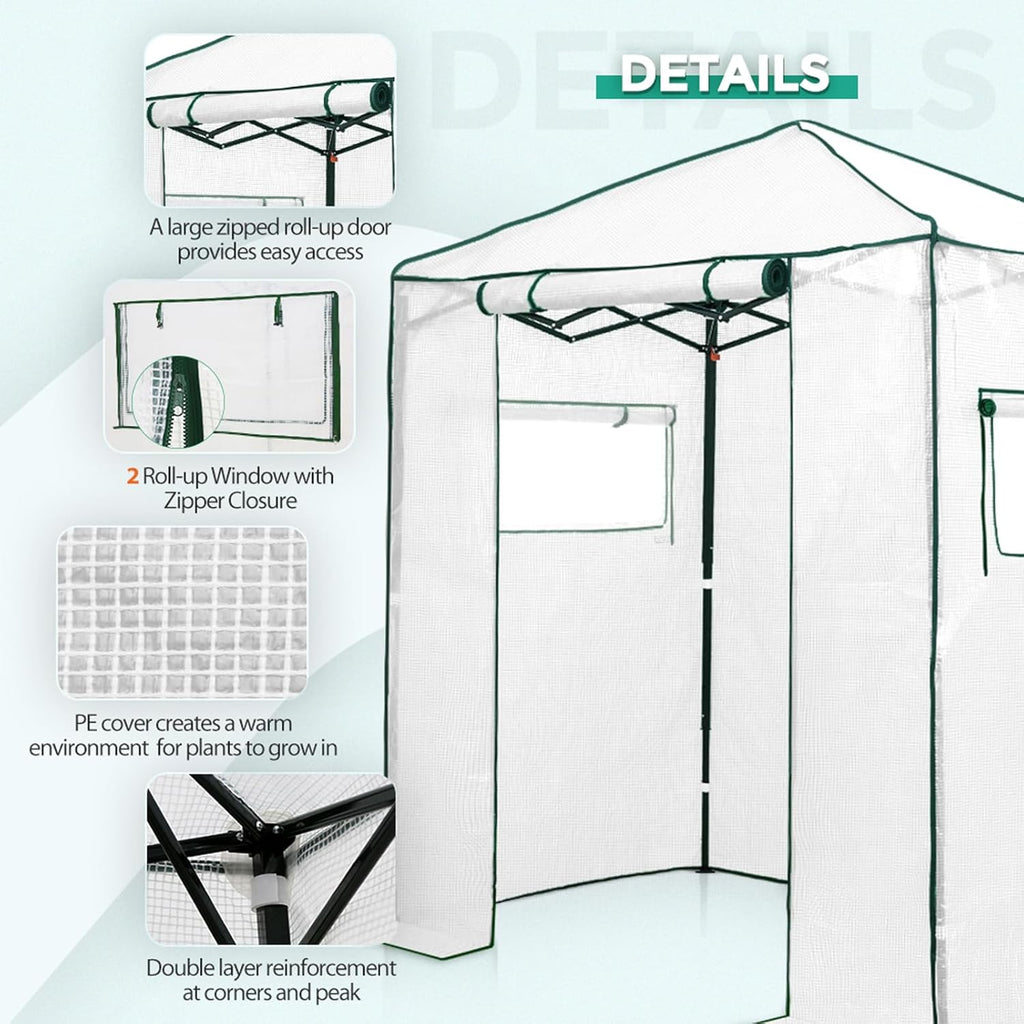 EAGLE PEAK Instant Pop-up Greenhouse, Indoor Outdoor Plant Gardening Green House, Roll-Up Zipper Doors and Side Windows, Walk in 6x4 ft, PE Cover, White/Clear