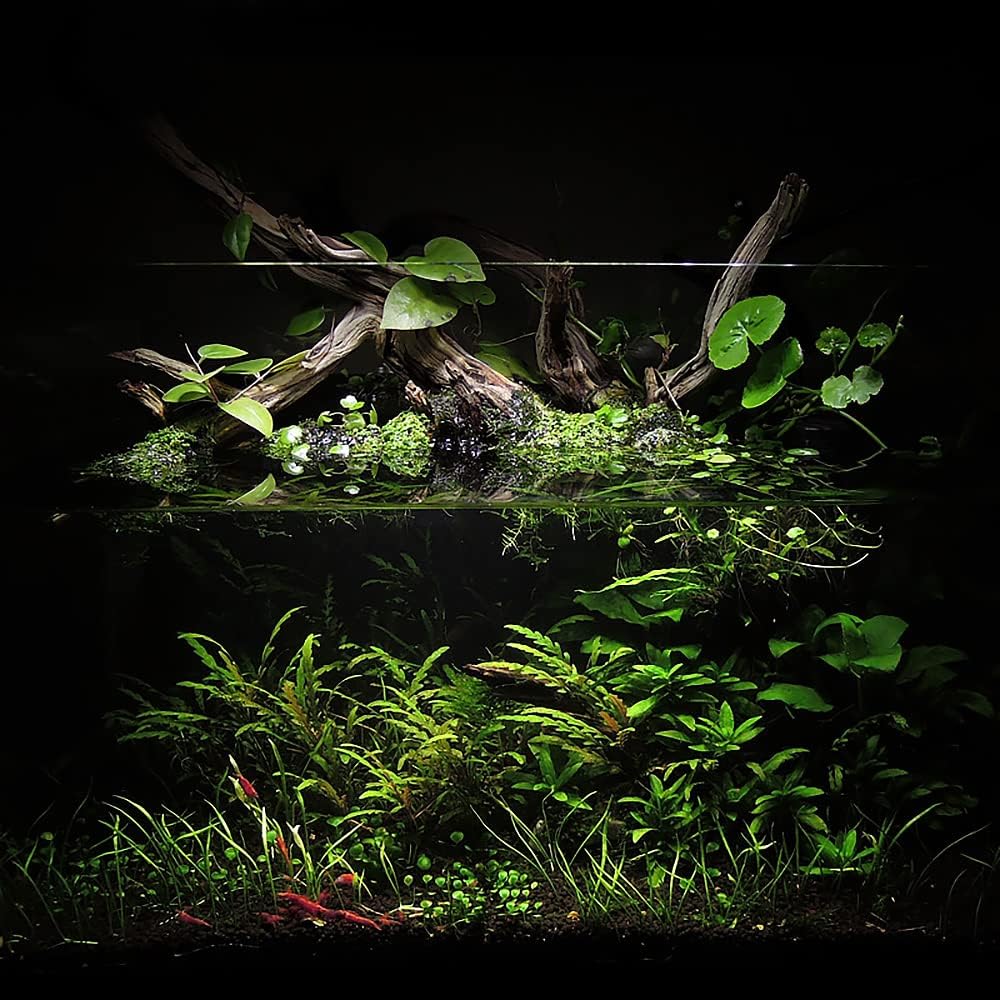 Ultum Nature Systems Controsoil - Freshwater Aqua Soil Substrate for Fish, Shrimp, Live Plant Propagation and Aquascaping - 6.8pH Low Ammonia, Volcanic Ash - Black, Normal (10 Liter | 20LB)